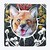 :iconlyd-wo-ai-ni-rhi: