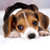 :iconlyden-everswift:
