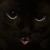 :iconlyetavolk: