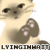 :iconlyinginwait: