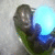 :iconlykawildmoon: