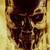 :iconlyncon6eco: