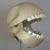 :iconlyndrid: