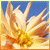 :iconlynis: