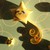 lynkshadow :iconlynkshadow: