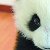 :iconlynn-azami: