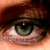 :iconlynn-t: