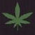 :iconlynn-thotwater: