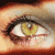 :iconLynn77:
