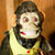 :iconlynne-sullivan: