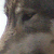 :iconlynnea04: