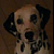:iconLyntje1991: