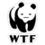 :iconlynx-7: