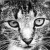:iconlynxgirl8: