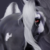 :iconlyrical-designs: