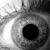 :iconlyva238: