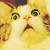 :iconlyycco: