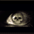 lzy890803 :iconlzy890803: