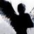 :iconm00nlight-angel: