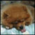 :iconm0onzz: