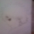 :iconm0use-00: