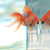 :iconm3csl:
