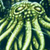 :iconm4dman: