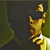 :iconm7md8: