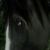 :iconm-a-x-w-e-l-l: