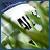 :iconm-creationzz: