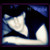 :iconm-digital: