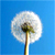 :iconm-filip: