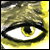 :iconm-shan: