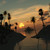 :iconm-trout10: