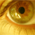 :iconm-virgilio:
