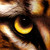 :iconma5nu4: