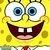 :iconmaaarimaari: