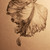 :iconmaaike1995: