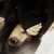 :iconmaakanime: