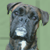 :iconmaalin: