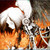 :iconmaanle: