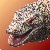 :iconmaat-goddess: