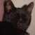 :iconMaatrhea: