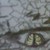 :iconmaayan15:
