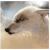 :iconmaayonaise: