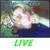 :iconmabikittykat: