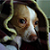 :iconmabsyntek: