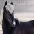:iconmac1731: