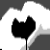:iconmacabreofsilence: