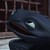 :iconmacabrowolf77: